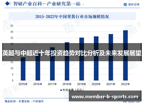 英超与中超近十年投资趋势对比分析及未来发展展望
