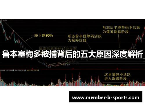 鲁本塞梅多被捕背后的五大原因深度解析